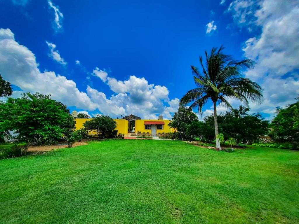 Palm trees and open lawns in the hotel garden